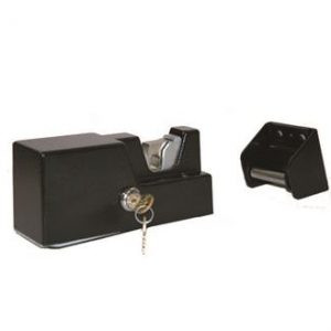 FAAC Electromechanical Gate lock